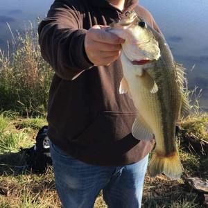 Meet your Posher, Zach